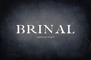 Brinal Font Review: A Playful Serif for Modern Branding