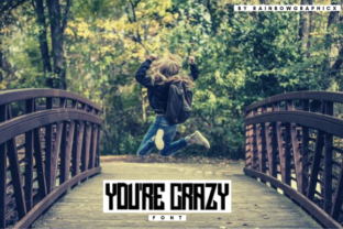 Bring Your Shop to Life with the You re Crazy Sans Serif Font