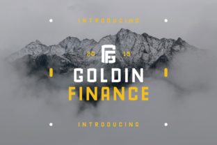 Goldin Finance: The Typeface That Elevates Your Brand