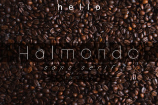 Halmondo: A Casual Sans Serif Font for Bold Campaigns