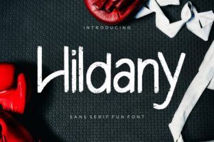 Hildany Font Review: A Cheerful Sans Serif for Web Design