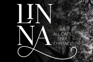 Linna: A Distinctive Serif Typeface for Editorial Impact