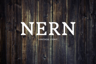 Nern Serif Font Review: A Cool Vibe for Modern Web Design