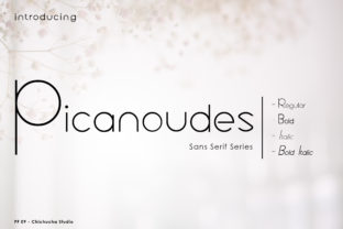 Picanoudes Font Review: A Sleek Sans Serif for Modern Brands