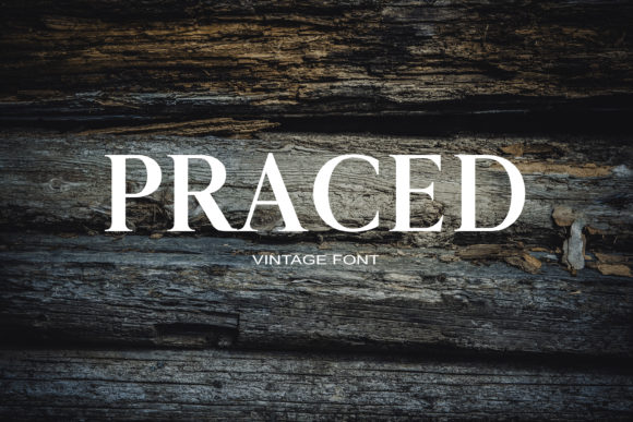 Praced Serif Font Review for Modern Web Design