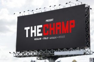 The Champ: A Modern Sans Serif Font for Editorial Design