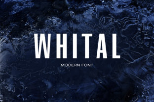 Whital: The Sans Serif Font That Stops the Scroll
